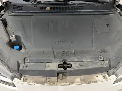 NETA Neta V