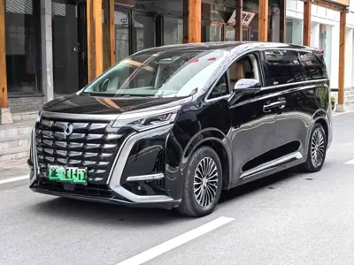 Denza Denza D9