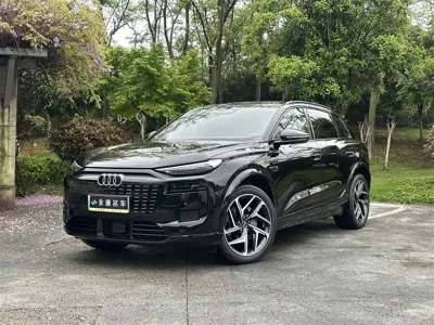 Audi 奥迪Q6L e-tron