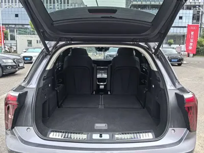 Hongqi Hongqi E-HS9