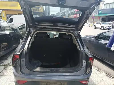 NETA Neta V