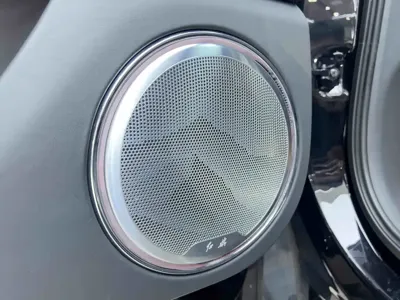 Hongqi 红旗金葵花国耀