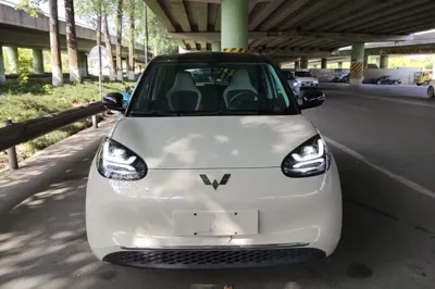 Wuling Bingo