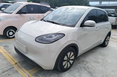 Wuling Bingo
