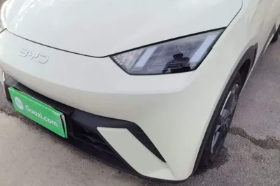 BYD Seagull