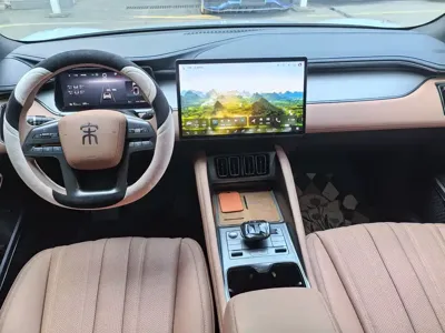 BYD L EV
