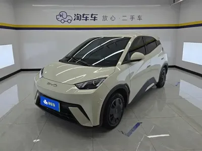 BYD Seagull