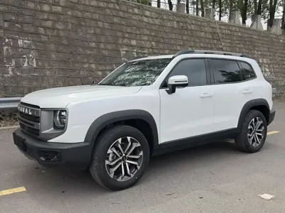 Haval Big Dog