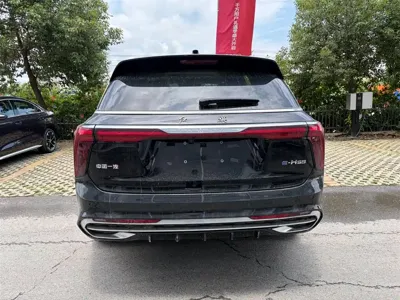Hongqi Hongqi E-HS9