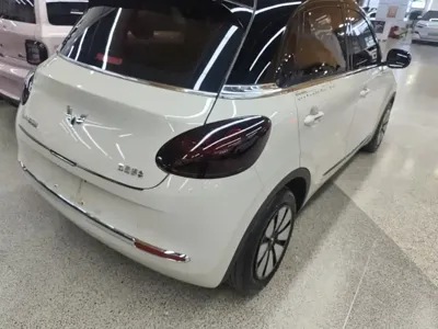 Wuling Bingo