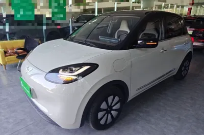 Wuling Bingo