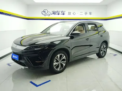 BYD Pro New Energy