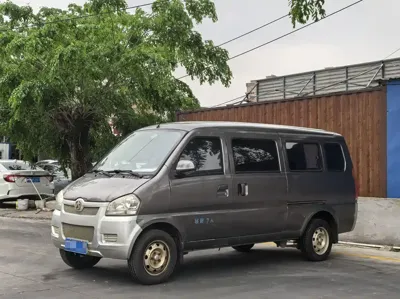 BAW Weiwang 307