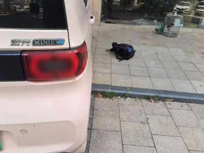 Wuling MINIEV