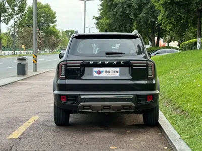 Haval Big Dog