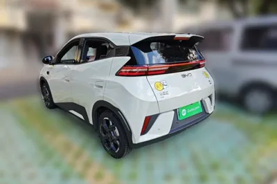 BYD Seagull