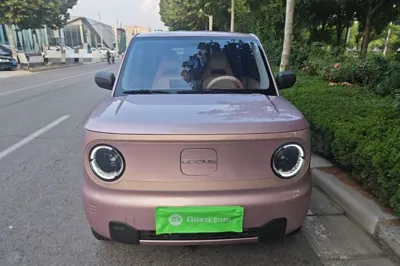 Geely Galaxy Panda