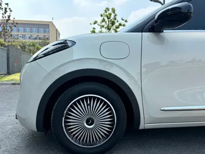Wuling Bingo