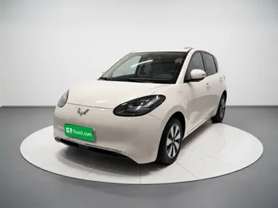 Wuling Bingo
