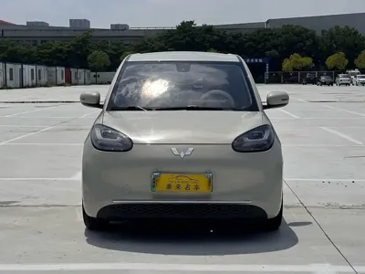 Wuling Bingo