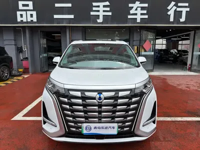Denza Denza D9