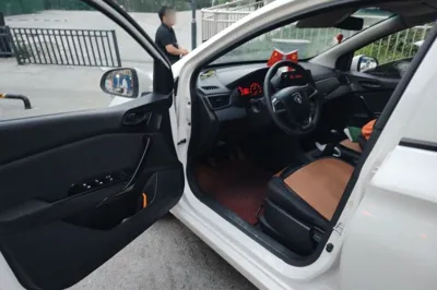 Baojun 310