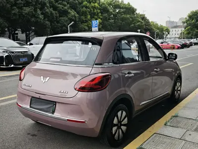 Wuling Bingo