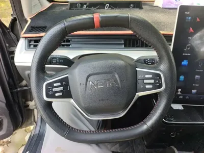 NETA Neta V