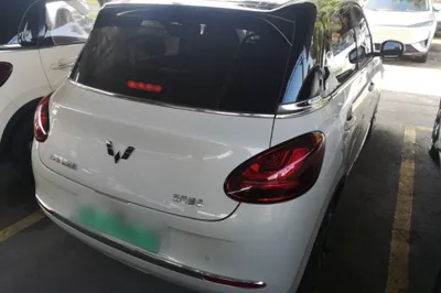 Wuling Bingo