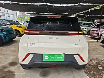 BYD Seagull