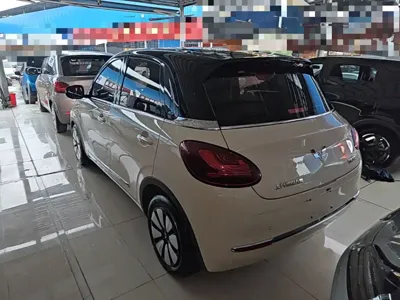 Wuling Bingo
