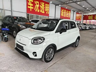 Leapmotor Leapmotor T03