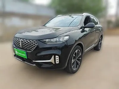 WEY Wey VV6