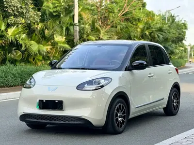 Wuling Bingo