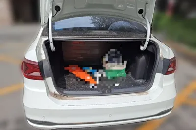 Jetta VA3