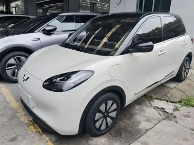 Wuling Bingo