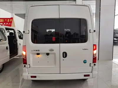 Maxus V80