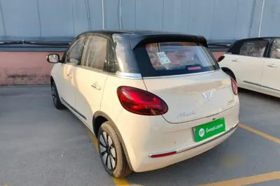 Wuling Bingo