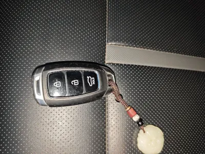 Hyundai Lafesta
