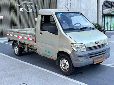 Wuling Zhiguang Mini Truck