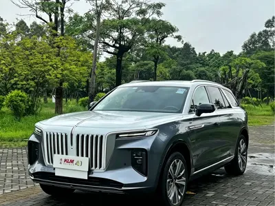 Hongqi Hongqi E-HS9
