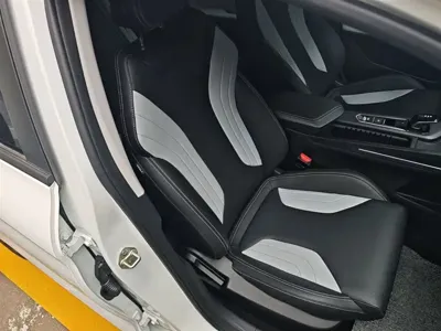 Geely Binrui