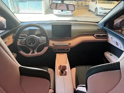 BYD Seagull