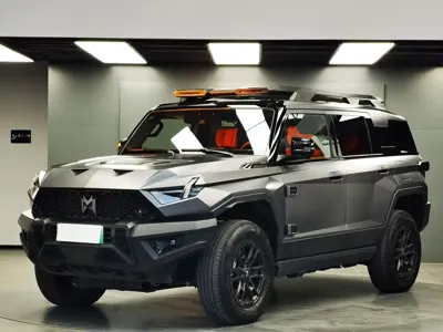 Mengshi Mengshi 917