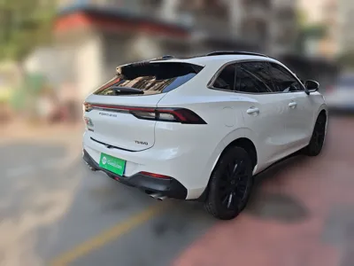 Forthing T5