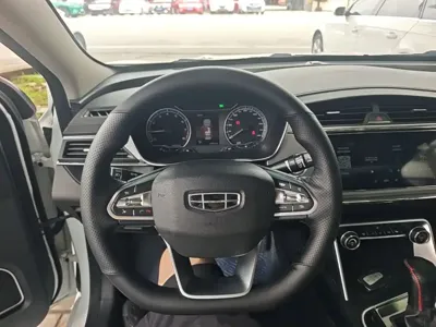 Geely Binrui