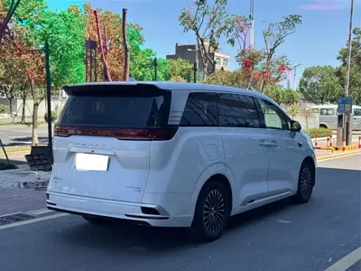 Denza Denza D9
