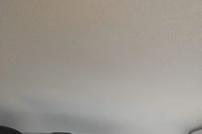 NETA V