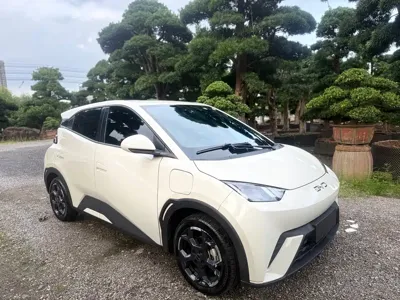BYD Seagull