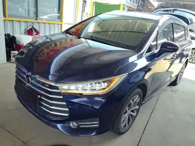BYD MAX